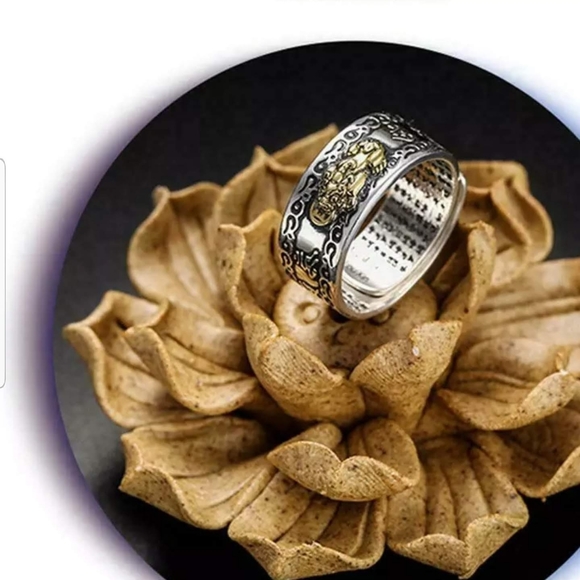 Feung Shui meditation & protection services ring Adjustable Size - Picture 2 of 8